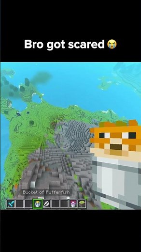 Minecraft Pufferfish