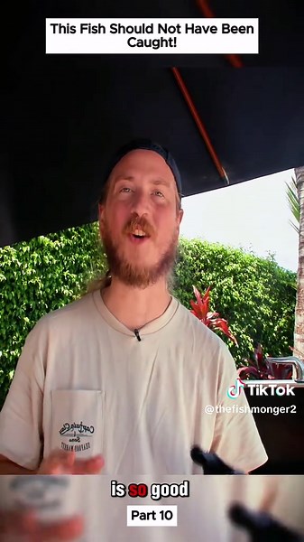 Expert Fish Cutting Techniques for Home Cooking