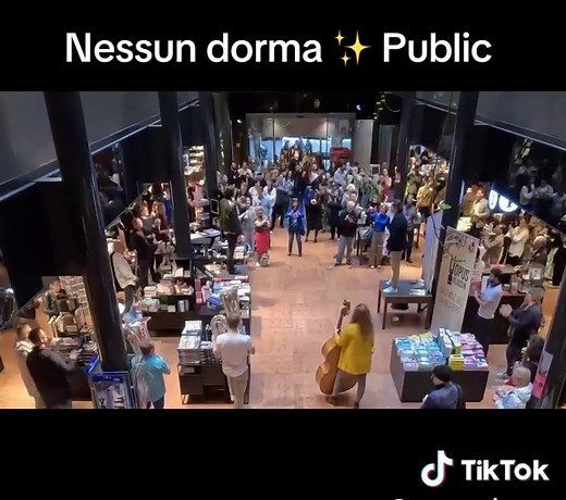 Flashmob Opera: Nessun dorma in Public (Opera Flash Mob)