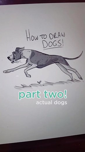 Drawing Big Dogs Tutorial: Step-by-Step Art Tips