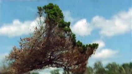 Fire on the Amazon | movie | 2000 | Official Trailer