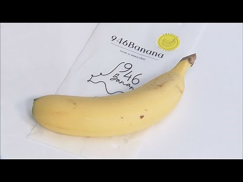 皮まで食べられるバナナ？冬の釧路で生産【HTB北海道ニュース】