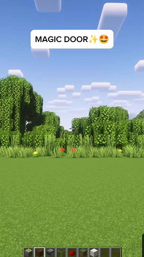 Cómo hacer una puerta mágica en Minecraft