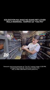 2.5K views · 13 reactions | Nakakatakot o malas man sa paningin ng karamihan, tuloy pa rin ang pet lover mula Marikina sa pagpaparami ng kanyang pythons! Kilalanin si Mac Santos at ang kanyang mga alagang python na itinuturing niyang swerte sa kanyang buhay. Panoorin ang buong episode ng "Tao Po" tuwing Linggo, 6:30 PM, sa Kapamilya Channel, Kapamilya Online Live, A2Z, at ABS-CBN News online platforms. #Snake #Snakelovers #TaoPo #ABSCBN #ABSCBNPR #Kapamilya #fyp | ABS-CBN PR | Facebook