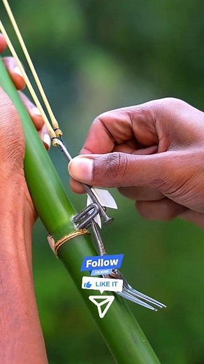 Bamboo craft #diy #crafts #bamboo #craft #crafting #diycrafts #diyproject #bamboohouse #bambooshoot #bambooforest #craftideas #CraftingCommunity #viralreels #fbreelsvideo #facebookreels #reelsfypシ #viralreelsfb #reelsviral #fbviral #FacebookReelsContest #fbreelsviral #shorts #short #nature #naturelove #explorepage #homedecor #seasonaldecor #handmadegifts #diyhomedecor | Bamboo special