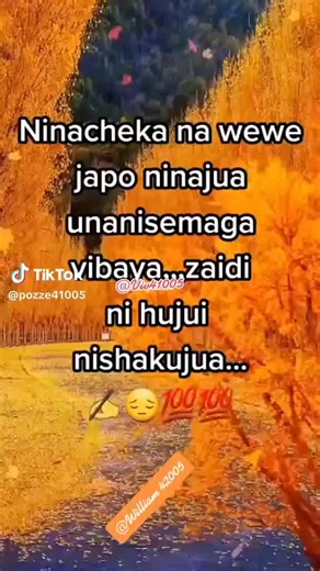 Serene Autumn Landscape with Vibrant Fall Foliage