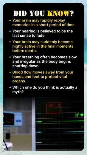 Scientists Finally Revealed What Your Brain Does Seconds Before Death