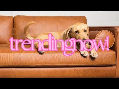 Fix Leather & Vinyl! Coconix Professional Repair Kit for Sofas, Car Seats & More ✨