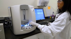 Isolation and Purification of Murine Cardiac Pericytes