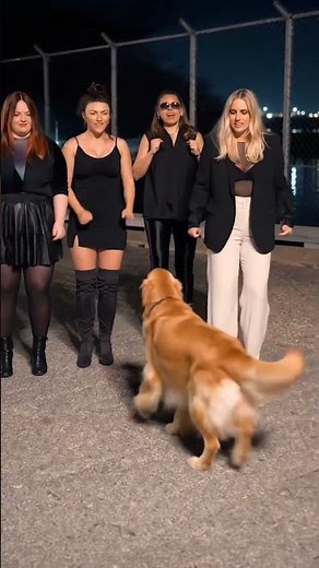🐶 Golden Retriever Joined the Dance 😂💃