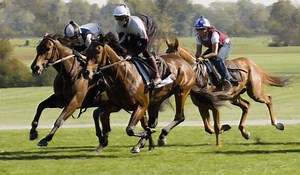 10 most expensive horses in the world: Which breed tops the list?