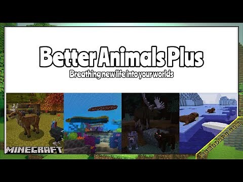 Better Animals Plus Mod 1.16.5 & How To Download and Install for Minecraft