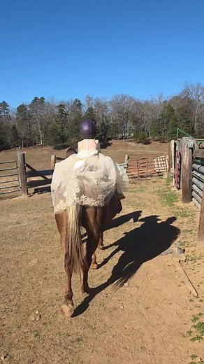 Emily Morrison on Reels