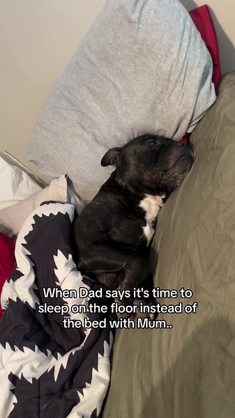 Sleeping on the Floor Instead of Bed Challenge