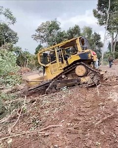 28 reactions | Protecting Wildlife - CAT D6R XL Dozer Operators in Elephant Habitats | Bulldozer Forest | Facebook
