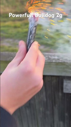 Powerfull Bulldog 2g von triplex