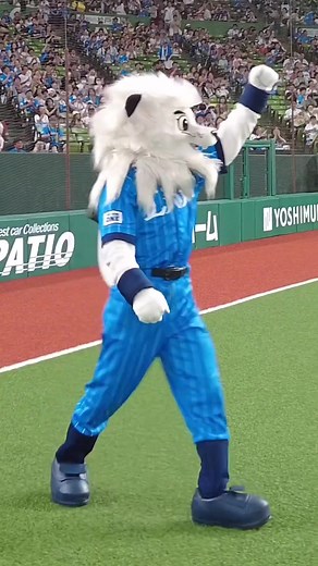 Most backwards handsprings in 30 seconds by a mascot 🦁⚾ 31 by Leo of the Saitama Seibu Lions baseball club @フォロバの神様👼 🇯🇵 #handspring #backflip #flips #mascot #guinnessworldrecords #japan