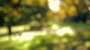 I LOVE ROSES - Steadicam Merlin & 7D Test