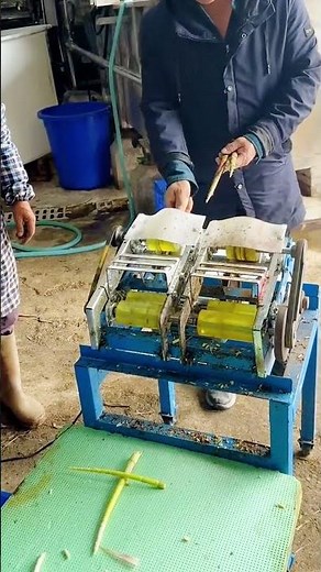 cool machine for peeling bamboo shoots #shorts