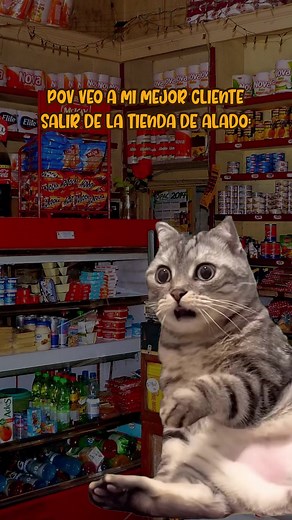 La traición chamacos 😩 #donchetoelabarrotero #risa #meme #tienditas #tiendas #viral #abarroteros #clientes #emprendimiento | Don Cheto El Abarrotero