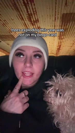 Exploding Trees: A Surprising 2023 Phenomenon