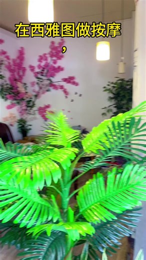 分享一家超专业的按摩店 还可以享受中医按摩手法， 请提前预约哦！ #seattle #seattletiktok #massage