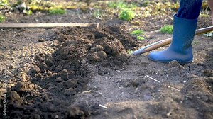 Work in a garden - Digging Spring Soil With Spading fork. Close up of digging spring soil with shovel preparing it for new sowing season.