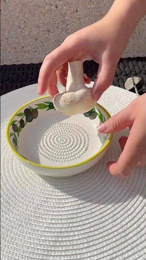 This plate makes breakfast so easy 🍄‍🟫🍄‍🟫🍄🍄🧡🧡🧡💛😊