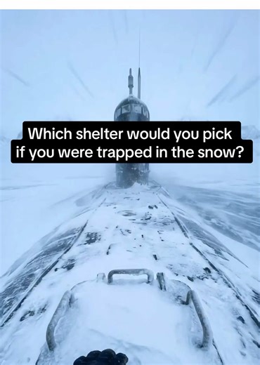 Which shelter would you pick if you were trapped in the snow? Snowfield Shelter Ep. 3#shelter #ai #survival #satisfying #asmr