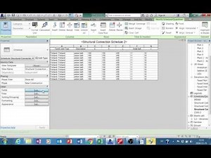 Revit structure connection schedule