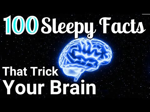 Slow Science: The Brain (Deep Sleep Journey)