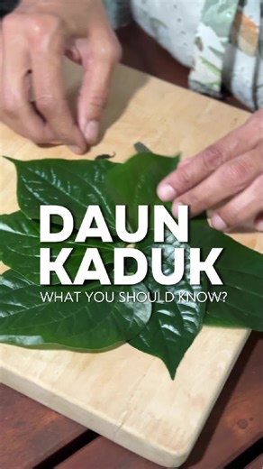Daun Kaduk 🌿 small leaf, big secrets. Often used in traditional dishes, this humble leaf isn’t just about flavour. Daun Kaduk has long been known in traditional medicine for its warming properties, digestive support, and potential anti-inflammatory benefits. From soothing the stomach to supporting circulation, it’s one of those herbs your nenek probably knew best 😉 But like all herbs, it’s about balance, not excess. Nature gives benefits when we use it wisely. ✨ Stay tuned for the recipe comin