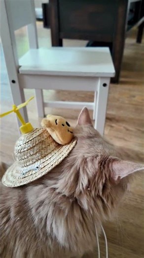 Winnie the Pooh Hat Fail (The Helicopter Didn't Spin! 😭)