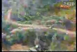 WRC2004年精彩集锦