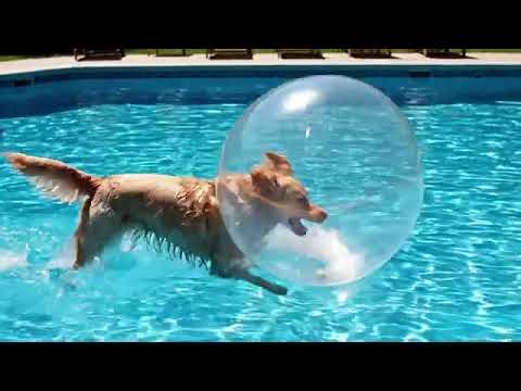 1766815140421684972 ed0f9bdb c9d4 4aa2 acc1 4543a65dedf5