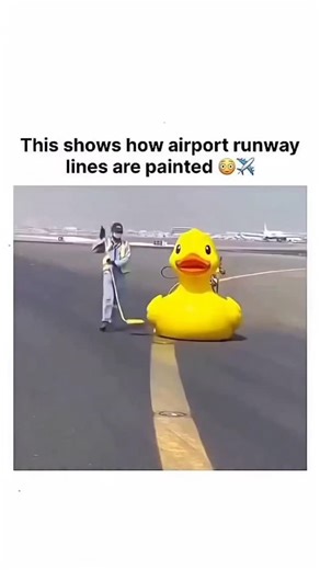 picpac on Instagram: "The post showcases a mesmerizing time-lapse video of artist Li Hongbo crafting expandable paper sculptures by manually layering and gluing thousands of thin paper sheets into a honeycomb structure, a technique rooted in ancient Chinese lantern-making traditions. Li Hongbo, born in 1974 in Jilin, China, revolutionized this method in his 2010 series "Tools," using up to 20,000 sheets per piece to create kinetic busts and objects that stretch like accordions, blending craftsma