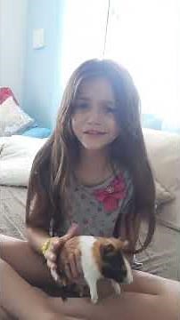 Nosso porquinho da Índia foi atacado pelo cão e morreu.