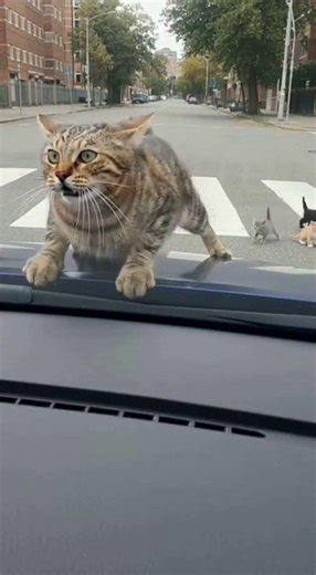 AI 讓學習速度出現質變？加密投資的隱藏優勢 🎯⏱️ #crypto #bitcoin #btc