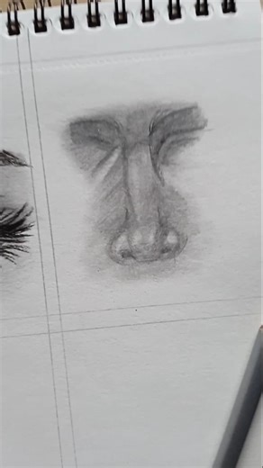 Realistic Nose Drawing | Step-by-Step Shading Tutorial #art #drawing #drawing
