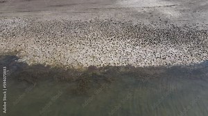 Drought resulting from decreased precipitation due to global warming and climate change. Drought effects resulting in drying up of lakes, barren lands, and death of plants and animals.