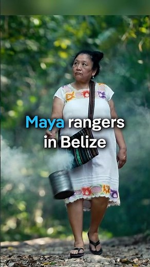 Preserving Maya knowledge in the forests of Belize | DW Documentary