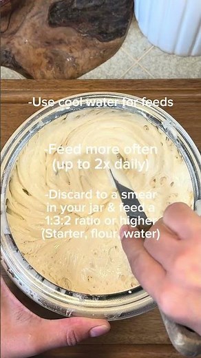3 Ways To Keep Your Sourdough Starter STRONG In The Summer🔥☀️ #sourdoughstarter