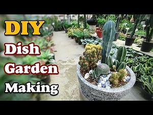 Dish Garden idea | How to make easy and creative dish garden?