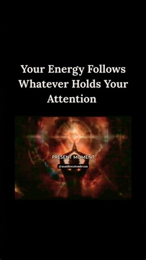 Your attention is feeding something—choose wisely. #Manifestation #Mindset