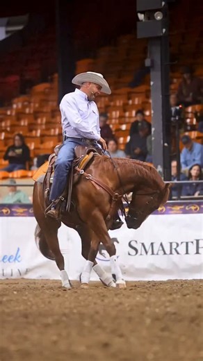 Downunder Horsemanship | Restart. Reset. Refocus. #applythemethod #clintonanderson #downunderhorsemanship #focus #motivation | Instagram