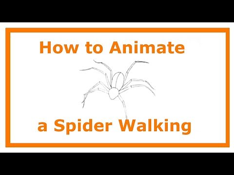 How To Animate a Spider Walking