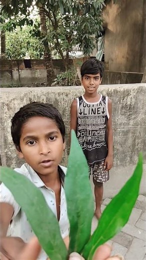 Everyone Gets Lollipop vs Last One Crying = Comedy Moment 🤣