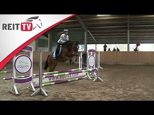 Springreiten lernen: Der erste Oxer