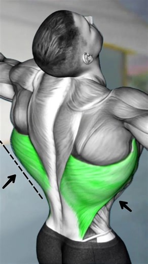 How to Build Wider Back (Lats) - Back Exercises Routine #Backworkout #Backday.#creatorsearchinsights