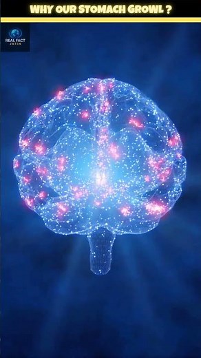 🤯🍔Why Does Our Stomach Growls ? |